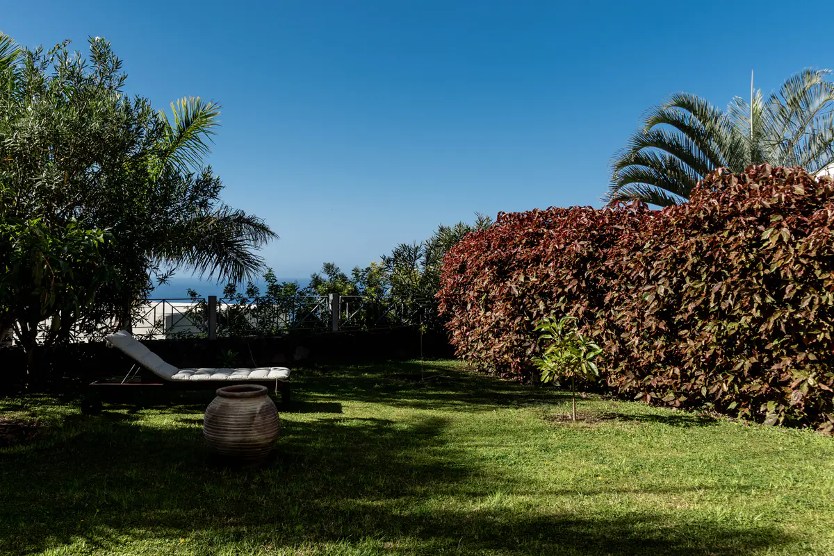 garden 1